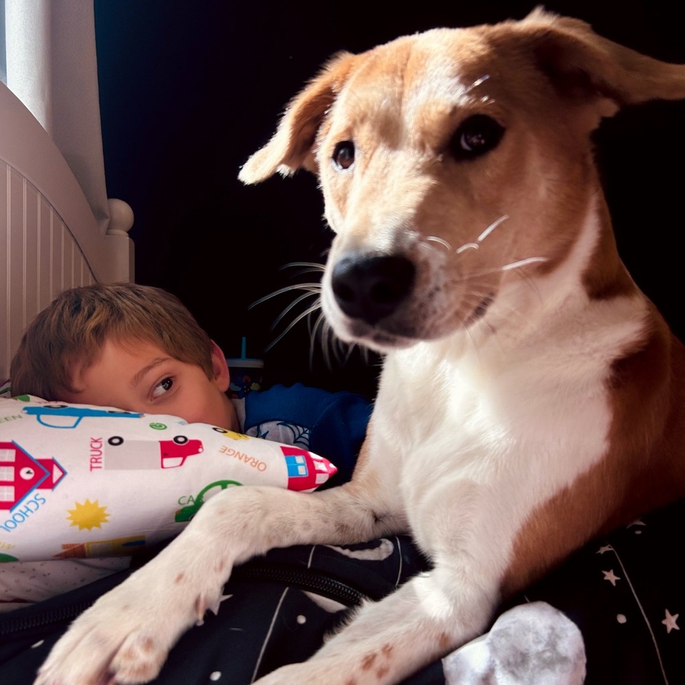 IM LIVE ! 🦋 LETS SHOP ! 🦋 💫 - Picture 3 of 8